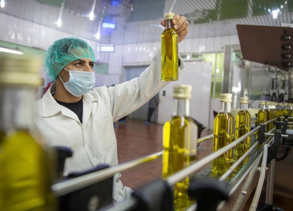 Révéler le potentiel mondial de l’huile d’olive tunisienne
